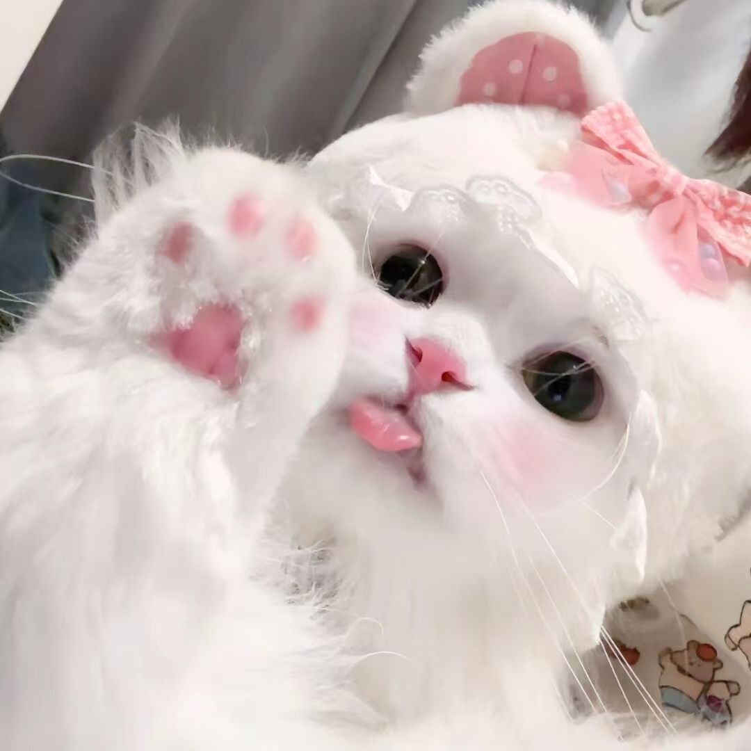 时光碎片
