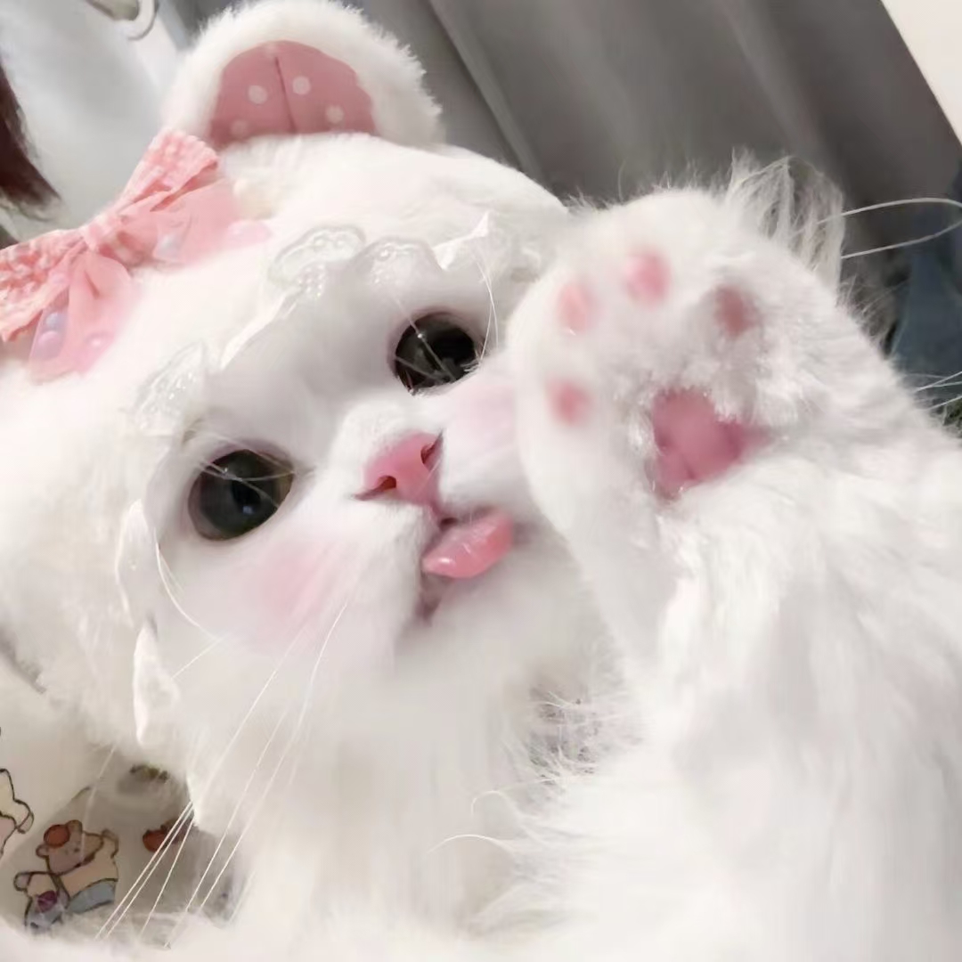 He
